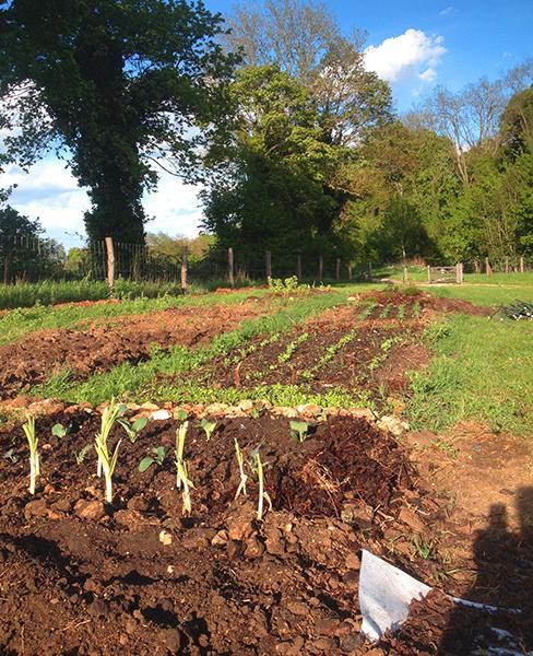 Installation de clôtures Chailly-en-Bière